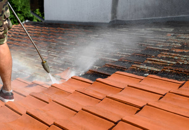 Best Roof Power Washing Services  in Winner, SD