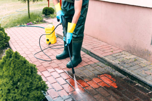 Best Roof Pressure Washing  in Winner, SD